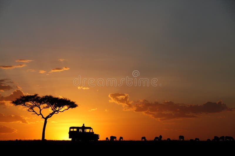 4-Day Masai Mara Explorer Safari
