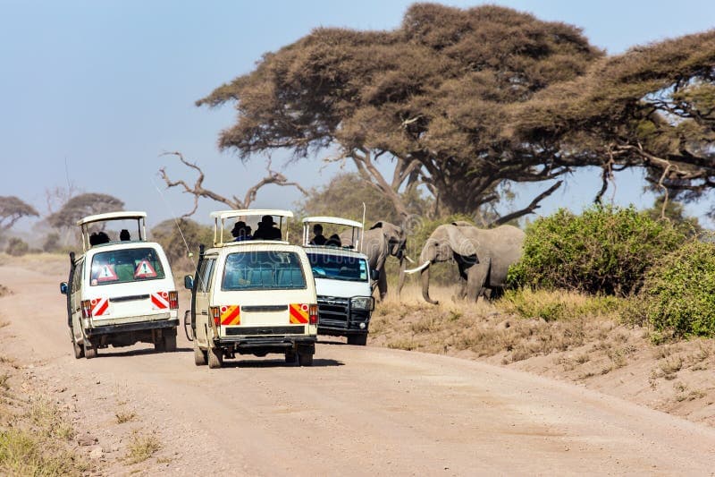 3-Day Amboseli Elephant Trail Group Safari
