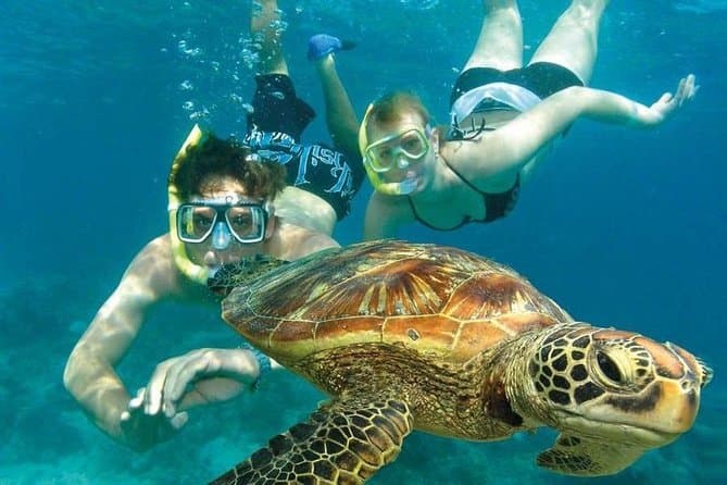 4-Day Watamu Marine Family Escape
