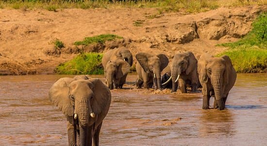 4-Day Samburu Signature Safari