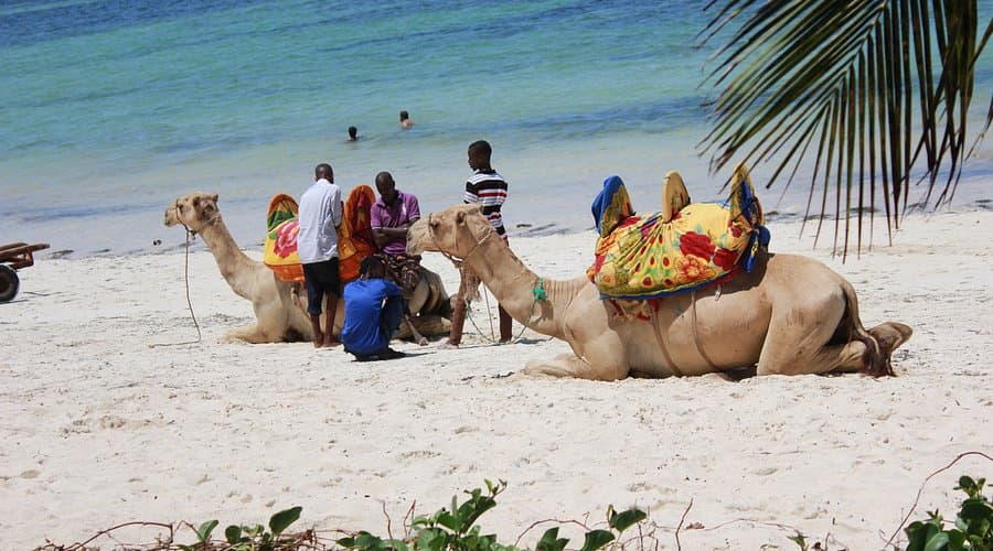 5-Day Mombasa Family Coast & Culture Escape