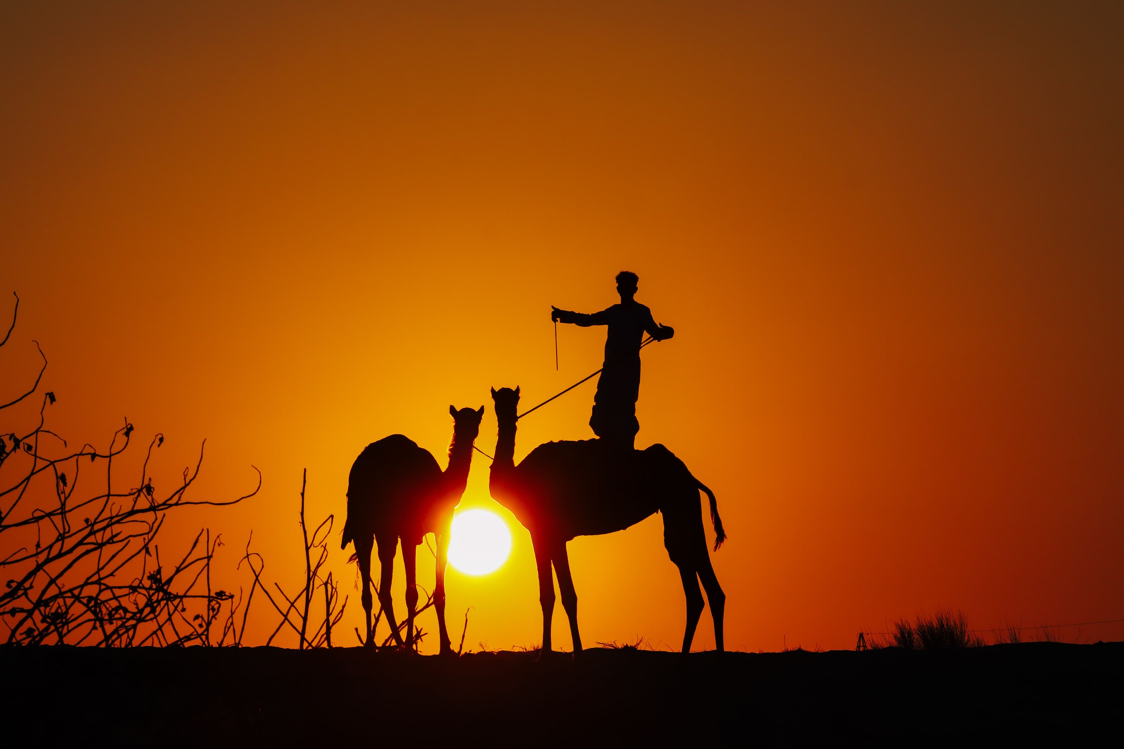 5-Day Dubai City, Desert & Abu Dhabi Escape
