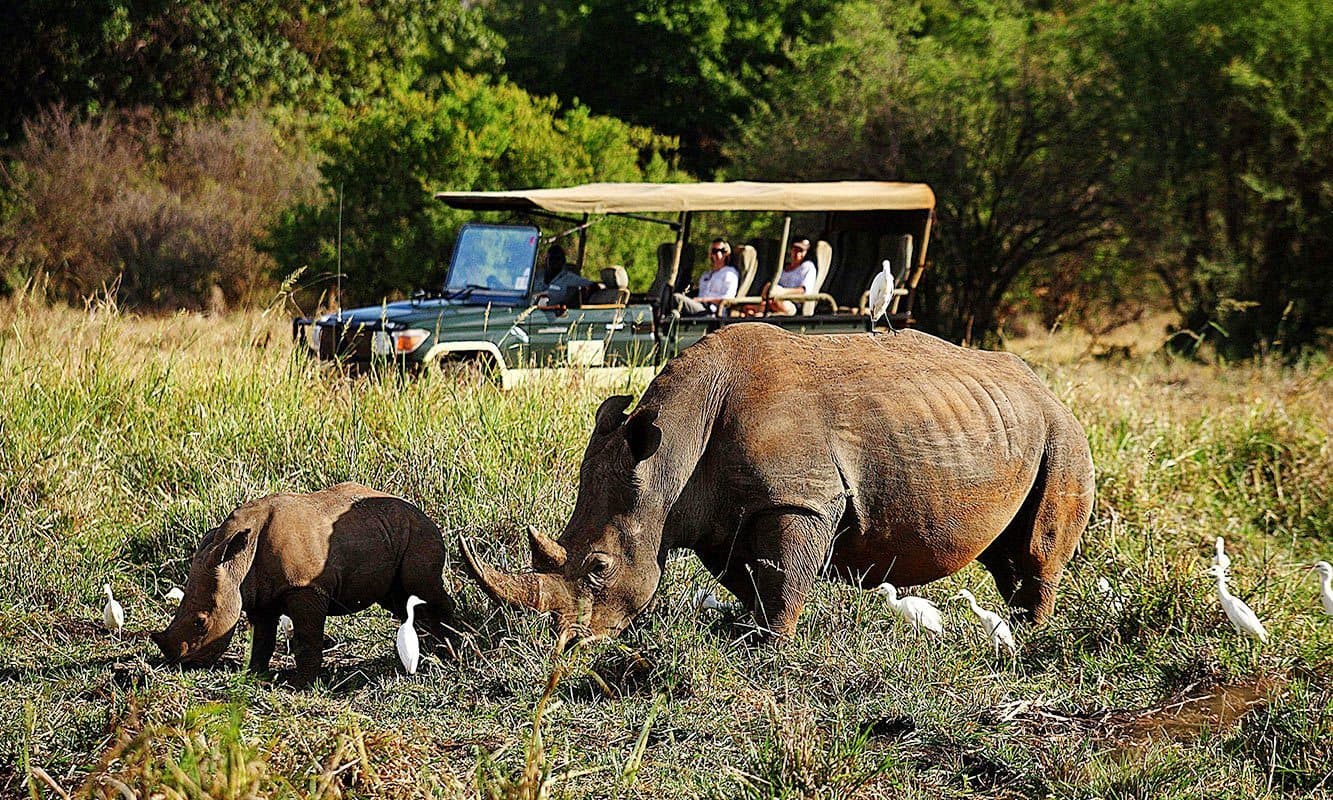 4-Day Meru National Park Rhino Sanctuary Safari
