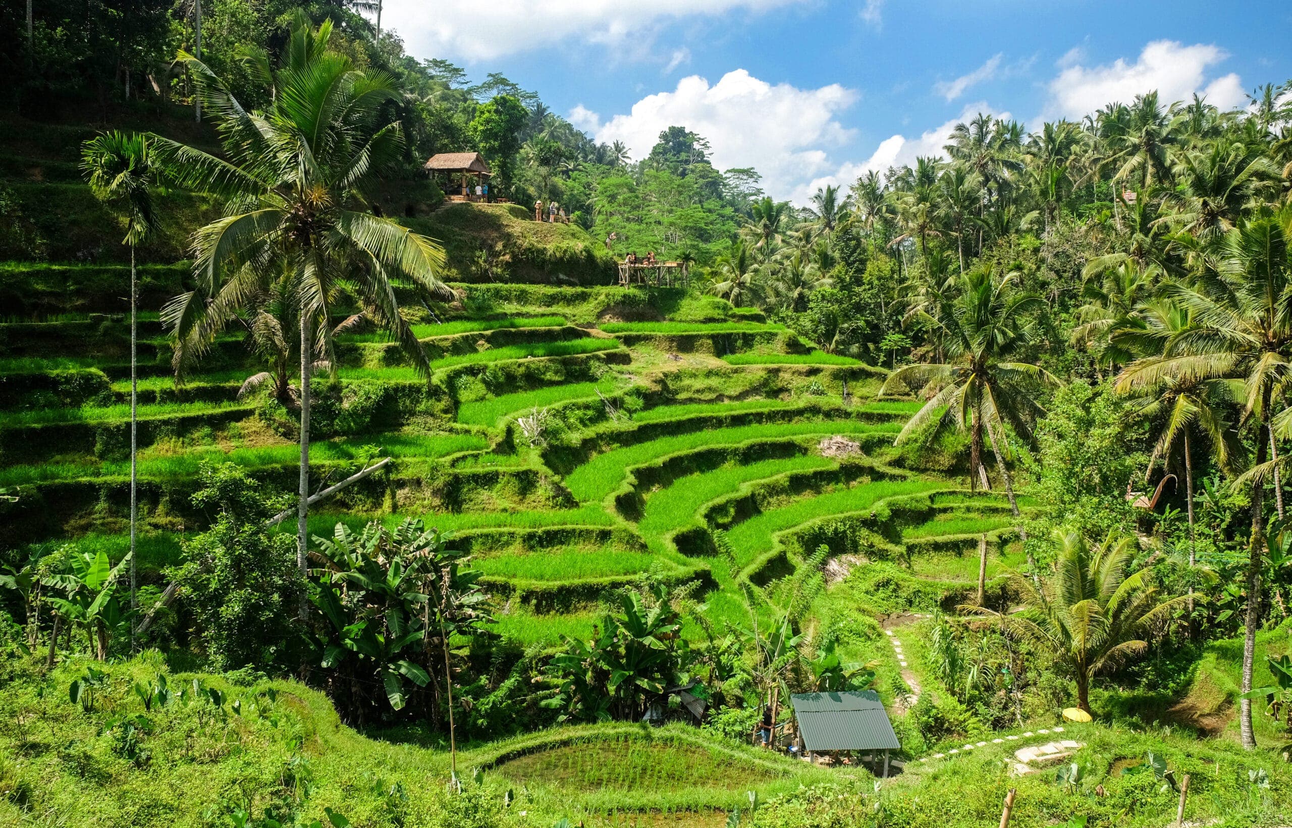 5-Day Bali Culture, Coast and Spa Escape