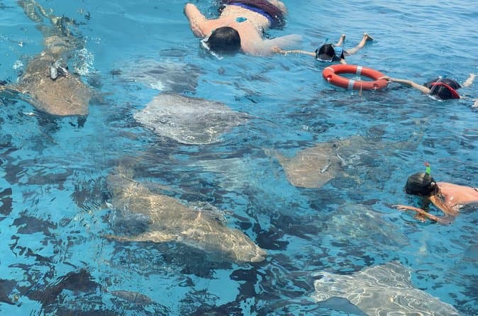 5-Day Maldives Island and Sandbank Escape